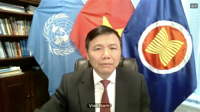 Việt Nam kêu gọi tăng cường bảo vệ thường dân tại CHDC Congo ảnh 1