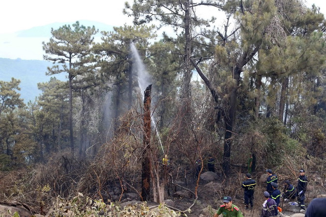Đà Nẵng: Liên tiếp xảy ra cháy ở khu vực Nam Hải Vân ảnh 1