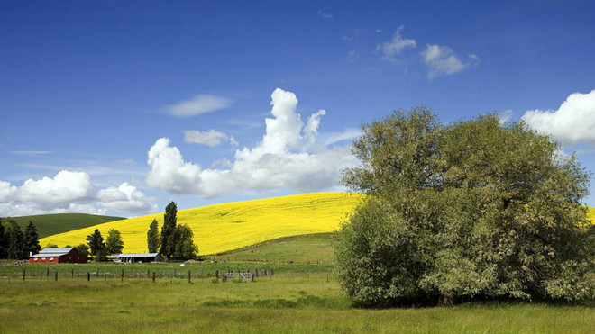 Nhiếp ảnh gia kiện hãng ảnh vì bị thu phí tác phẩm của mình ảnh 1