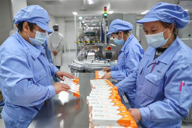 Sản xuất vaccine ngừa COVID-19 tại nhà máy của Tập đoàn công nghệ sinh học Sinovac ở Bắc Kinh,Trung Quốc ngày 6/1/2021. (Nguồn: THX/TTXVN) Phải chăng 'ngoại giao vaccine' của Trung Quốc đang… ‘hụt hơi’? ảnh 1