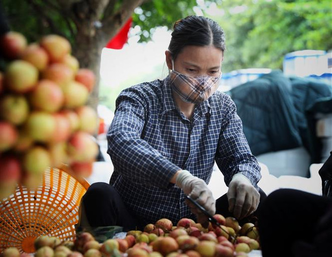 Chính phủ yêu cầu hỗ trợ tiêu thụ nông sản tỉnh Bắc Giang ảnh 1