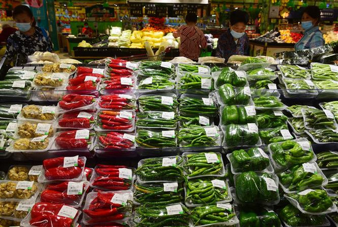 OECD nâng dự báo tăng trưởng kinh tế thế giới năm 2021 ảnh 1