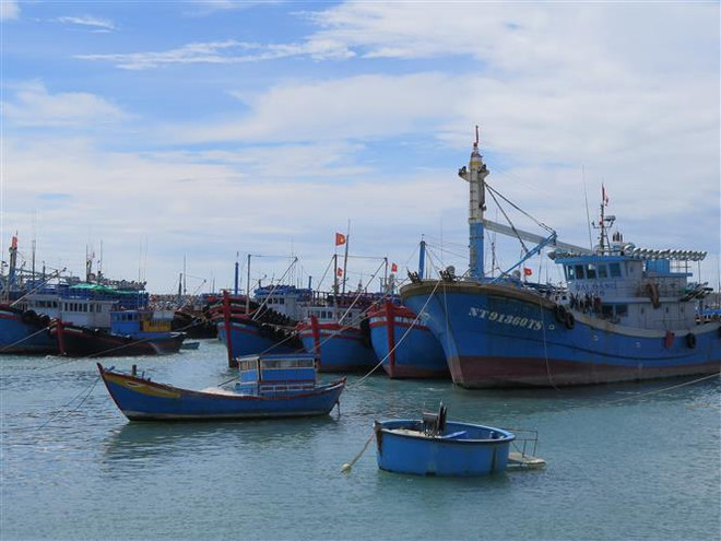 Các tàu cá tại Cảng cá Mỹ Tân, xã Thanh Hải, huyện Ninh Hải, Ninh Thuận. (Ảnh: Minh Hưng/TTXVN) Khắc phục thẻ vàng IUU: Ưu tiên nguồn vốn đầu tư công cho cảng cá ảnh 1