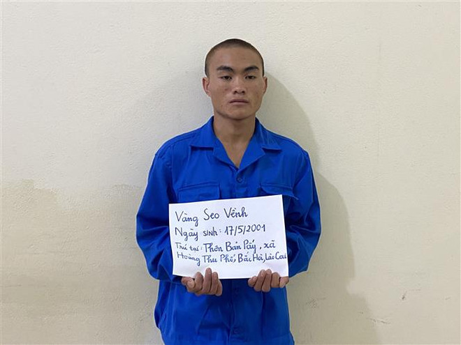 Công an Lào Cai khởi tố đối tượng giết em trai để giành quyền thừa kế ảnh 1