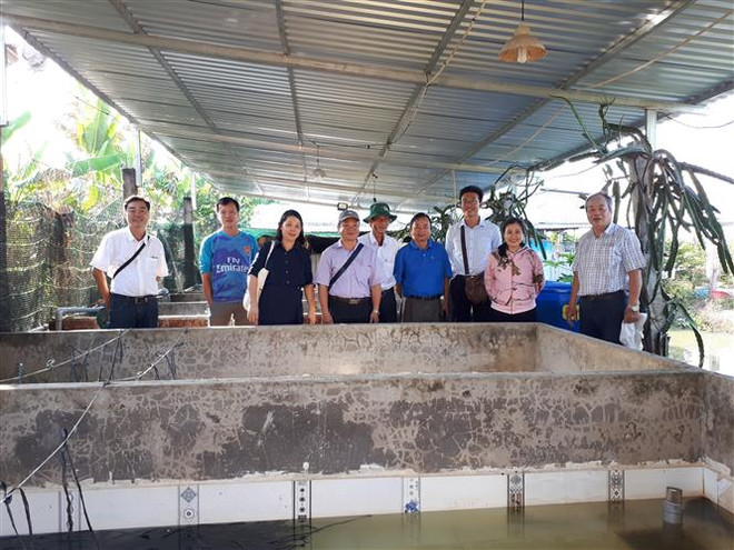 Hiệu quả từ nuôi thâm canh lươn đồng theo công nghệ tuần hoàn nước ảnh 2