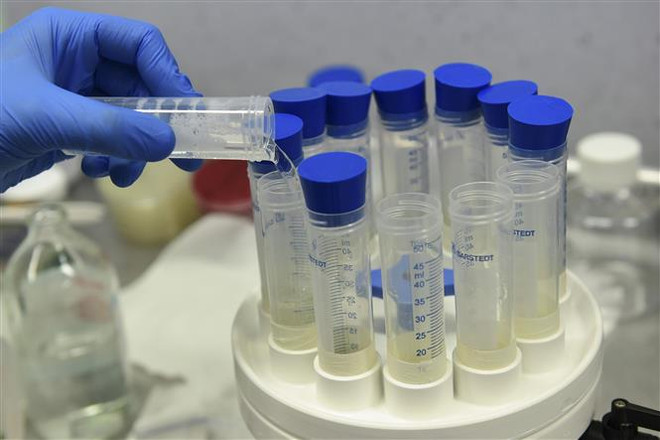 Thử nghiệm bào chế vaccine phòng dịch COVID-19. (Nguồn: AFP/TTXVN) Khủng hoảng COVID-19 ở Ấn Độ phơi bày điểm yếu của ngoại giao vaccine ảnh 2