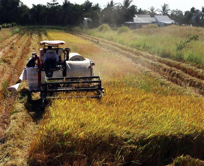 Khoa học và công nghệ luôn đồng hành cùng sự phát triển đất nước ảnh 2