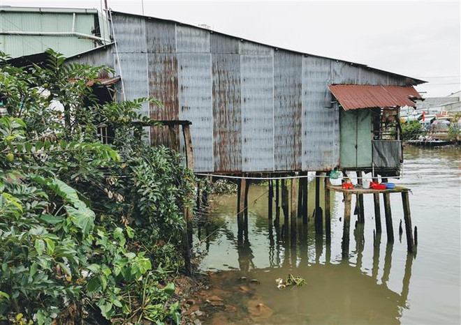 Sạt lở ngày càng nghiêm trọng, Cần Thơ kiến nghị Trung ương hỗ trợ ảnh 1