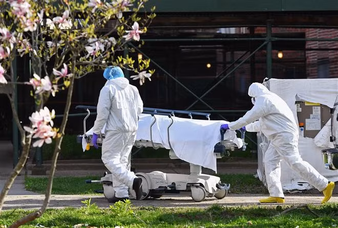 'Virus SARS-CoV-2 tới New York từ châu Âu, không phải Trung Quốc' ảnh 1