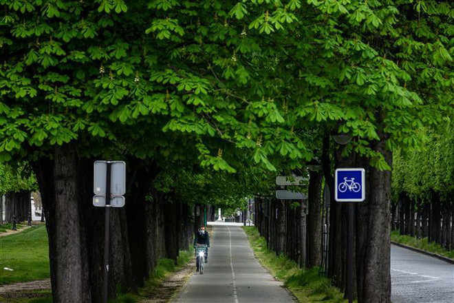 Dịch COVID-19 đến 21h ngày 7/4: Hơn 76.000 người tử vong trên toàn cầu ảnh 1