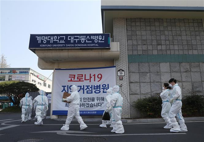 Pháp và Hàn Quốc chia sẻ bí quyết trong cuộc chiến chống COVID-19 ảnh 1