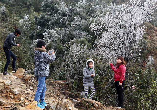 Đông Bắc Bộ lại đón không khí lạnh, trời chuyển rét từ 11/1 ảnh 1