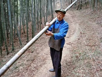 Phát sốt với lão nông biến thành "ông nội đẹp trai nhất Trung Quốc" ảnh 8