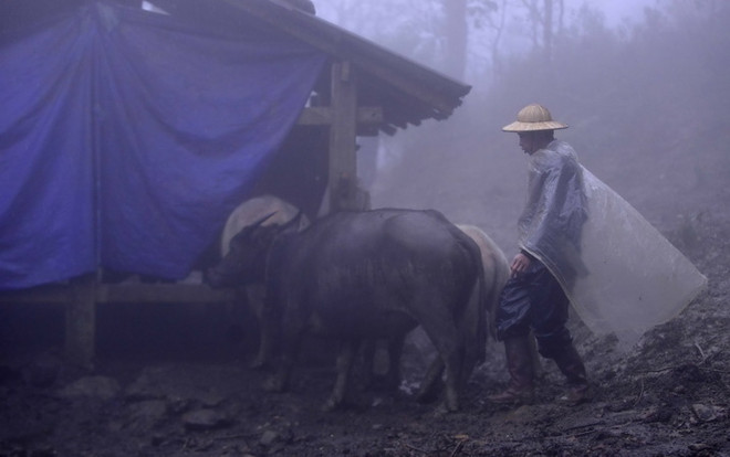 Miền Bắc chìm trong giá rét, nhiệt độ Hà Nội xuống 5 độ C ảnh 1