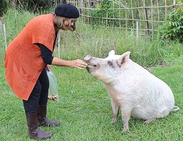 "Cô lợn" bị hai người đàn ông tấn công tình dục giờ ra sao? ảnh 2