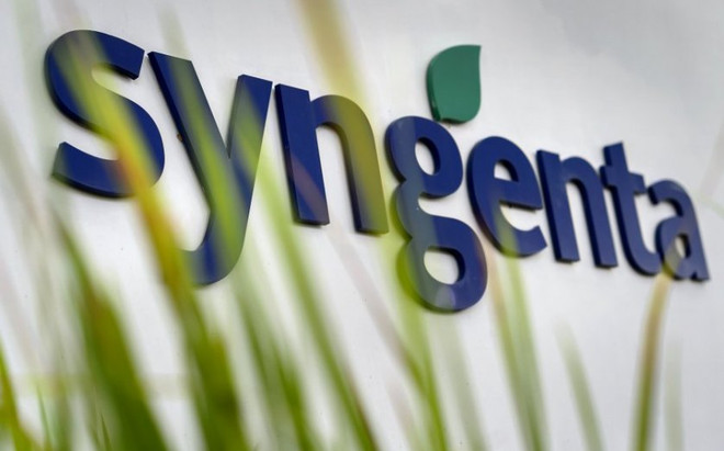 (Nguồn: agrodaily.com) Nông dân trồng ngô ở Mỹ thắng trong vụ kiện với Syngenta ảnh 1