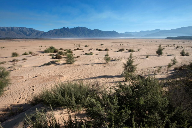 Tương lai bấp bênh của Hiệp định Paris về biến đổi khí hậu ảnh 1