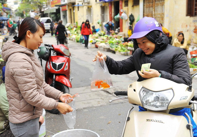 Hà Nội náo nhiệt trước ngày tiễn ông Công ông Táo chầu trời ảnh 1