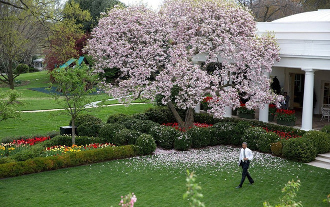 30 khoảnh khắc đặc biệt trong gần 2 triệu bức ảnh của ông Barack Obama ảnh 12