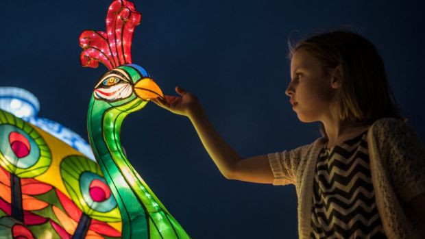 Sydney tưng bừng hoạt động chào đón Năm mới Đinh Dậu ảnh 1