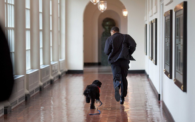 30 khoảnh khắc đặc biệt trong gần 2 triệu bức ảnh của ông Barack Obama ảnh 31