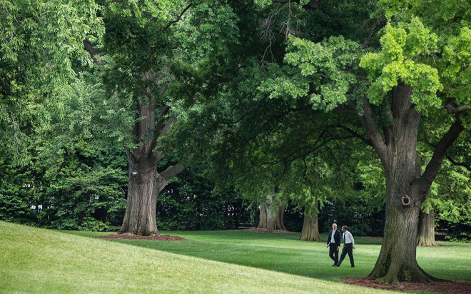 30 khoảnh khắc đặc biệt trong gần 2 triệu bức ảnh của ông Barack Obama ảnh 9