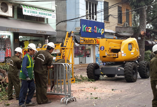 Chi 1,5 tỷ đồng, Hà Nội nhập xe Pháp cắt tỉa cây trước mùa mưa bão ảnh 1