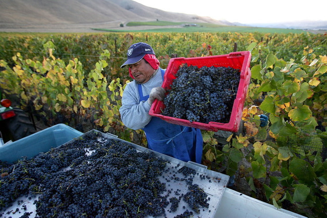 Ông Trump tin tưởng sẽ giải quyết được tranh chấp với Trung Quốc ảnh 1