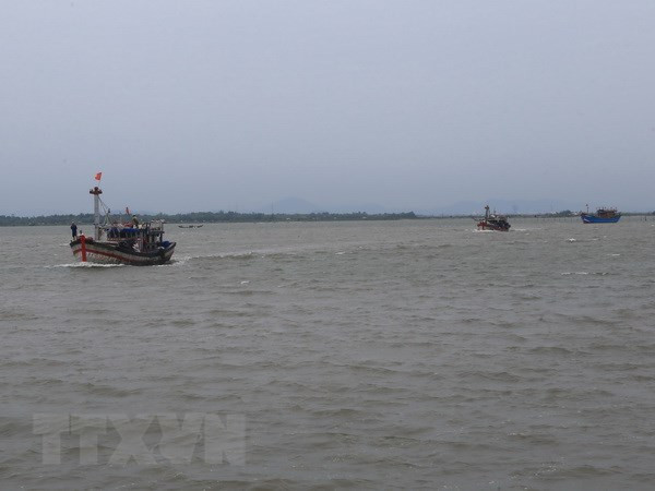 Malaysia bắt giữ hai tàu cá và 20 ngư dân Việt Nam ảnh 1