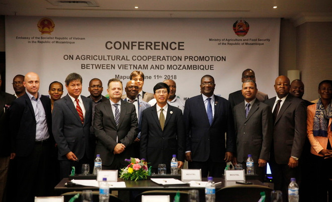 Mozambique đánh giá hiệu quả hợp tác nông nghiệp với Việt Nam ảnh 1