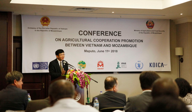 Mozambique đánh giá hiệu quả hợp tác nông nghiệp với Việt Nam ảnh 2