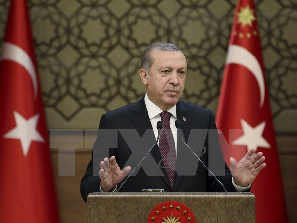 Tổng thống Thổ Nhĩ Kỳ Recep Tayyip Erdogan. (Nguồn: AP/TTXVN) Kẻ sát hại Đại sứ Nga "là thành viên mạng lưới của giáo sỹ Gulen" ảnh 1