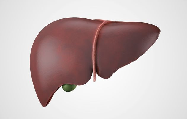 Ai Cập: Giáo sư đại học và bác sỹ buôn lậu nội tạng người ảnh 1