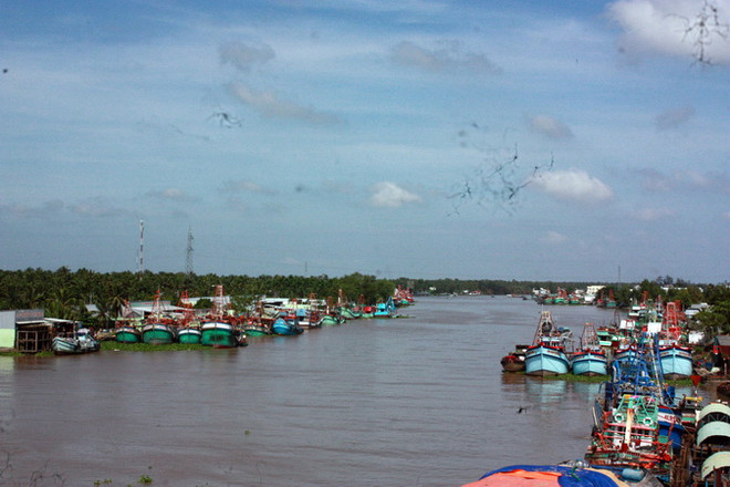 Quảng Ngãi: Cứu sống hai ngư dân trên tàu cá bị sóng đánh chìm ảnh 1