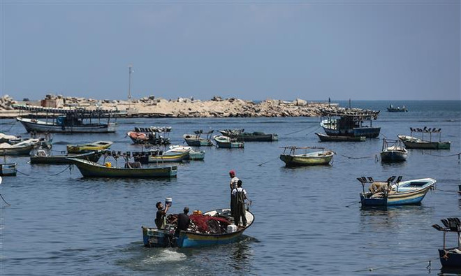 UNRWA lo ngại tình hình nhân đạo xấu đi tại Dải Gaza ảnh 1