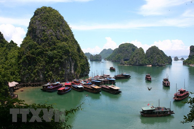 Tàu tham quan Vịnh Hạ Long. (Ảnh: Huy Hùng/TTXVN) Quảng Ninh quyết tâm sẽ đón 3 triệu khách du lịch trong quý 4 ảnh 1