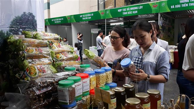 Tuần hàng trái cây, nông sản các tỉnh, thành phố tại Hà Nội ảnh 1
