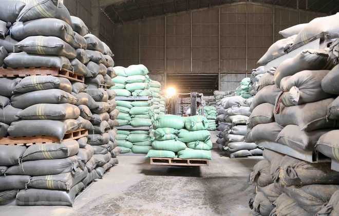 (Ảnh: Vũ Sinh/TTXVN) Bổ sung kinh phí 274 tỷ đồng mua bù gạo dự trữ quốc gia ảnh 1