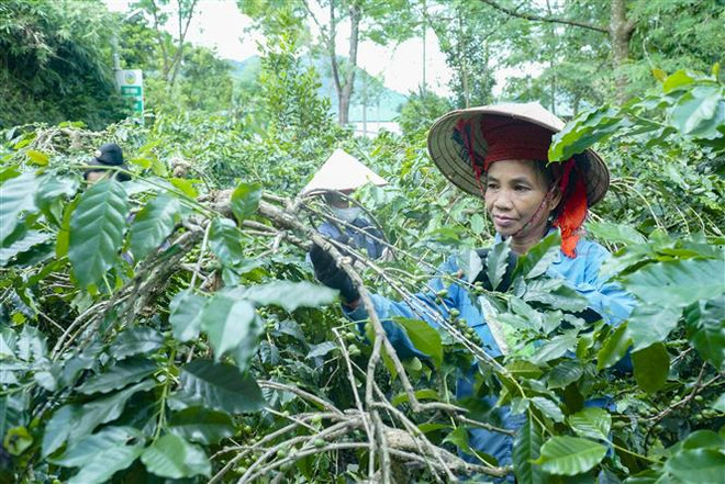 Hoàn thiện Tờ trình đề xuất chủ trương đầu tư chương trình giảm nghèo ảnh 1