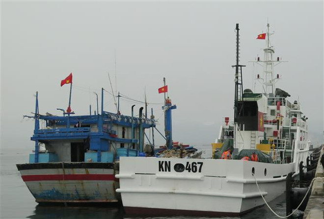 Đưa 11 ngư dân trên tàu cá Bình Định về đất liền an toàn ảnh 1