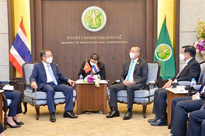 Hợp tác nông nghiệp mang lại lợi ích cho Việt Nam và Thái Lan ảnh 1