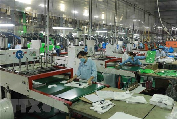 Để thị trường lao động Việt Nam phục hồi nhanh và bền vững ảnh 2