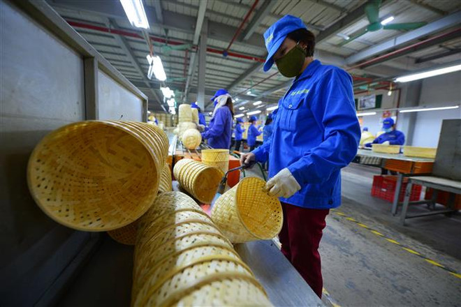 Để thị trường lao động Việt Nam phục hồi nhanh và bền vững ảnh 1