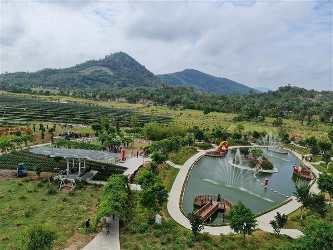 Xem xét xử phạt vi phạm hành chính Công ty cổ phần Du lịch An Giang ảnh 1