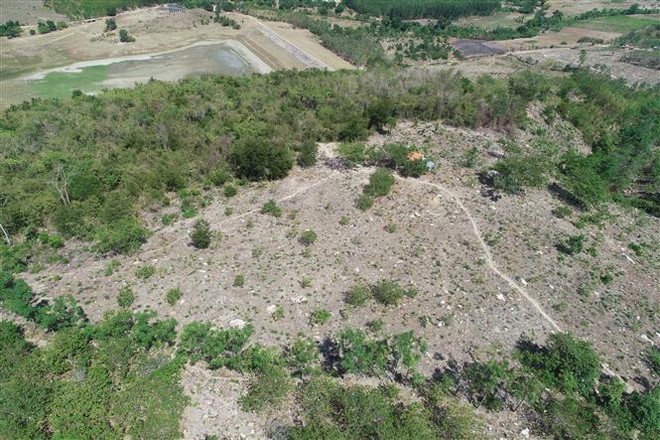 Điều kiện, thủ tục chuyển mục đích sử dụng đất tại 4 tỉnh, thành phố ảnh 1