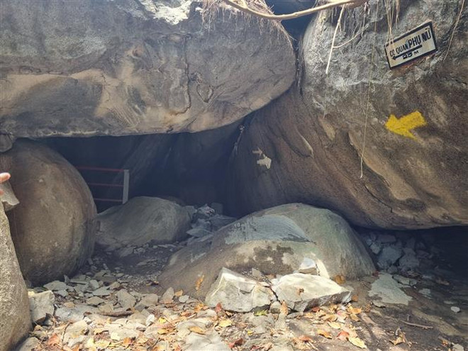 Xem xét xử phạt vi phạm hành chính Công ty cổ phần Du lịch An Giang ảnh 2