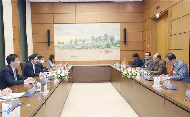 Thực hiện có hiệu quả các thỏa thuận hợp tác đã ký giữa Việt Nam-Ấn Độ ảnh 1