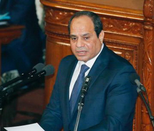 Ai Cập nhấn mạnh giải pháp hai nhà nước đối với Palestine và Israel ảnh 1