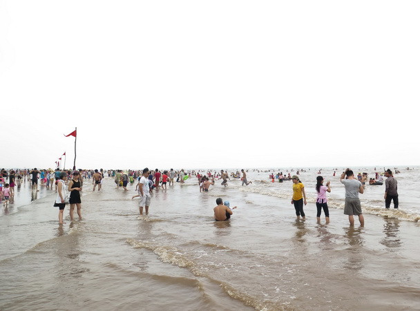 Người dân bám biển đánh bay tin đồn cá chết ở biển Cồn Vành ảnh 2