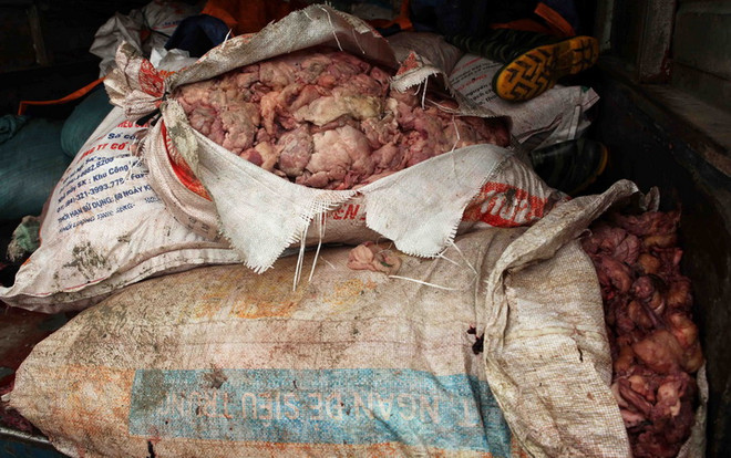 Bắt xe chở hơn 5 tấn mỡ bẩn trên đường đi tiêu thụ tại Hà Nội ảnh 1